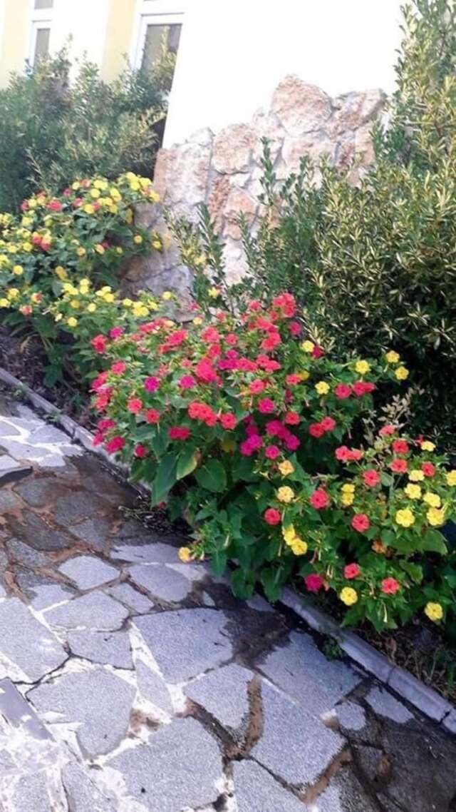 Отель New samta Кутаиси-6